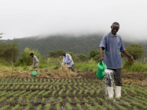 The History of Agriculture and Its Impact on Food