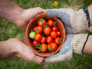 The Future of Food