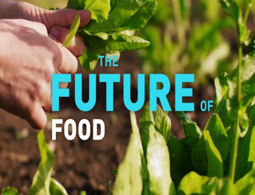 The Future of Food: Exploring Trends and Innovations in the Culinary World