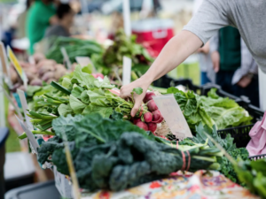 A Review of Ithaca Farmers Market